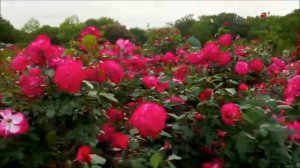 Ты — мой Бог # христианская песня