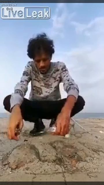 Cat 🐈 Steals He's Fish 🐠 :)) смотреть онлайн