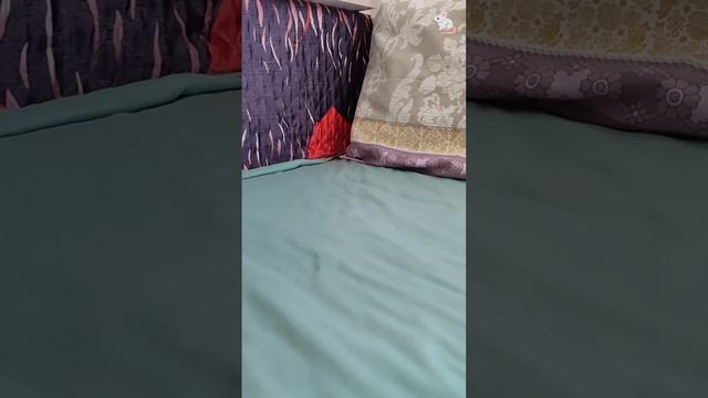 Померили Дейла, он обиделся☺ Крысы дамбо + белки дегу❤🔥❤🔥 смотреть онлайн