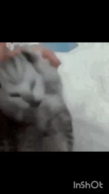 мои мемы🤣.mp4 смотреть онлайн