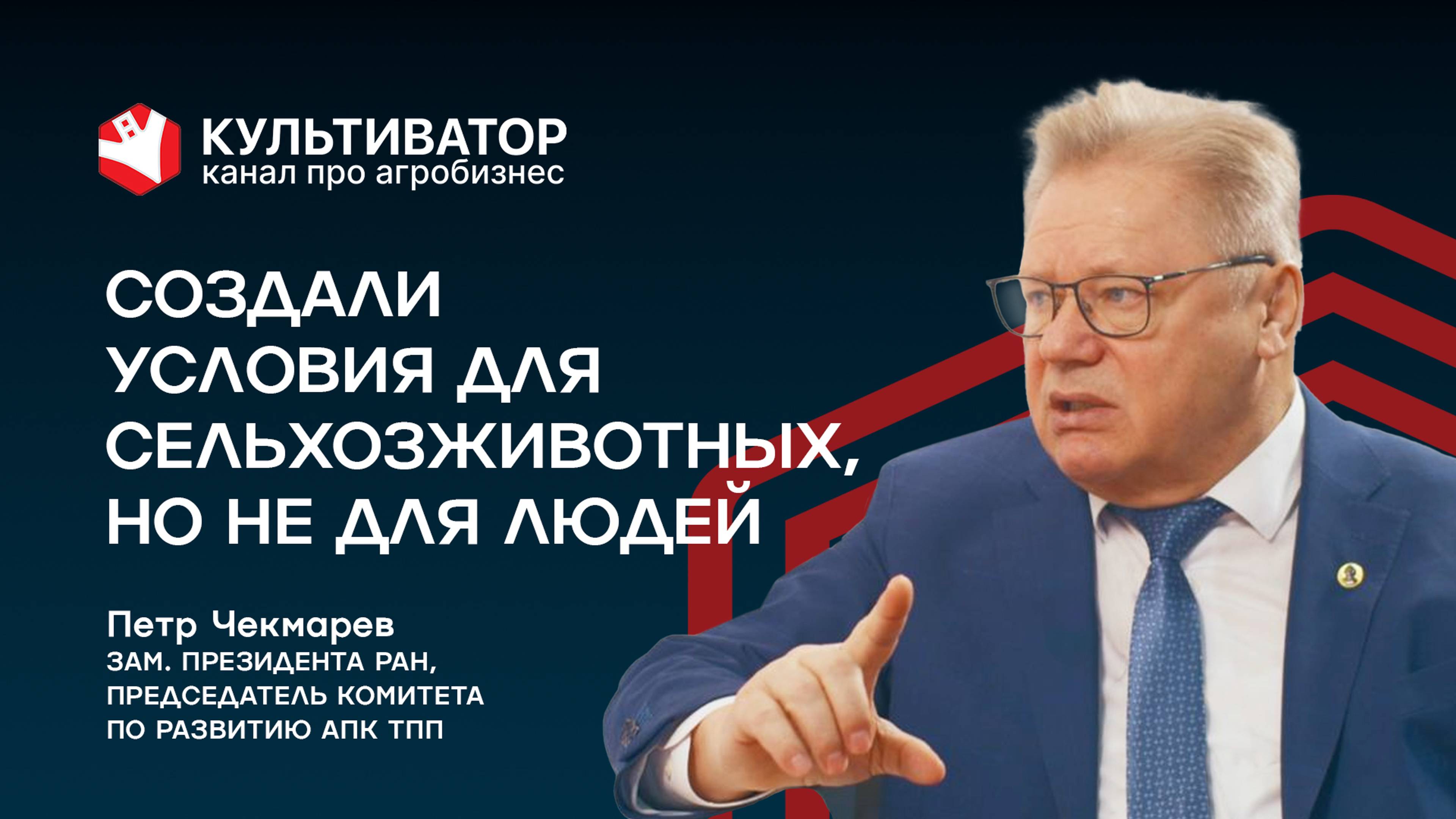Как развивать сельские территории? | Петр Чекмарев | Российская академия наук смотреть онлайн