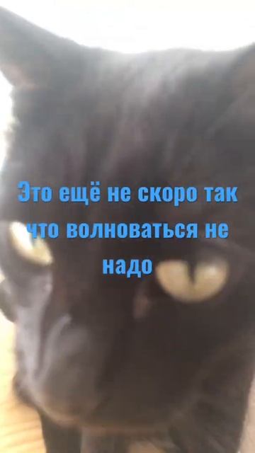 Солнце ☀️ станет расширятся через 500 миллиардов лет смотреть онлайн