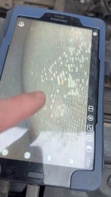 Катализатор Kia Hyundai можно не удалять?! смотреть онлайн