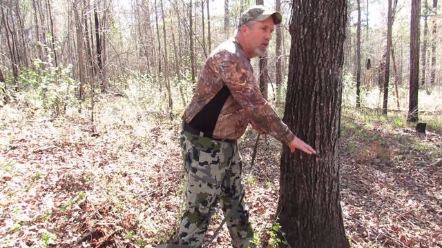 Are Trail Cameras Necessary For Hunting? смотреть онлайн