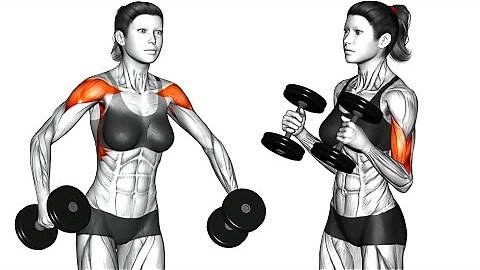 Комплекс упражнений с гантелями для женщин, направленный на развитие всего тела. смотреть онлайн