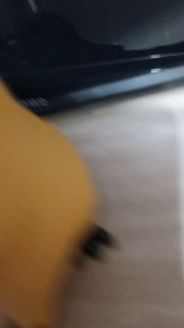 это обязано стать мемом