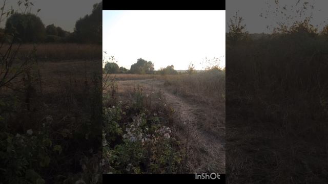 Прощальный вечер