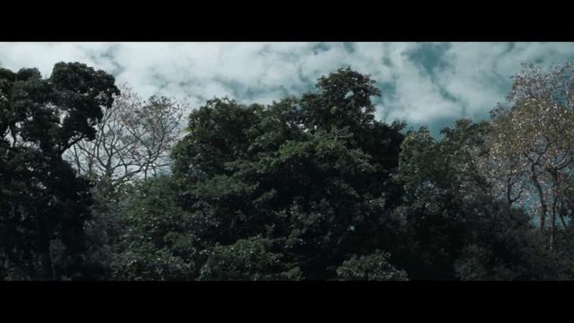 Mauritius || Port louis || Cinematic video || Travel Video || Nature beauty || Vlog смотреть онлайн