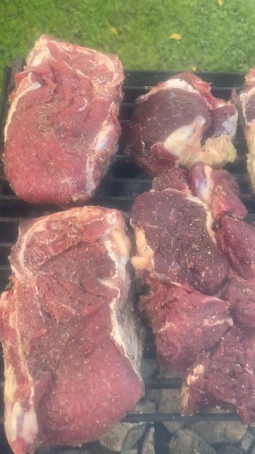 Мангал и мясо
