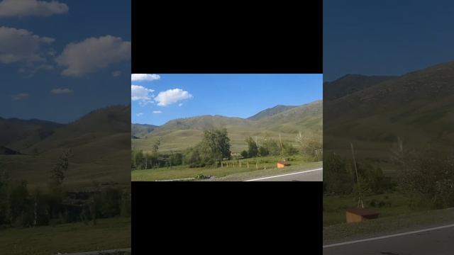 2023алтай смотреть онлайн