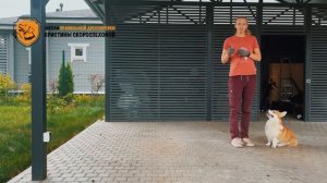Как научить собаку команде «Ко мне!»