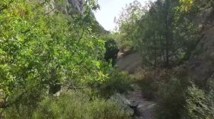 Крым Веселое Новый Свет