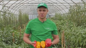 ПОПУЛЯРНЫЕ ПЕРЦЫ СЕРИИ КАКАДУ