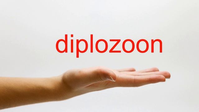 How to Pronounce diplozoon - American English смотреть онлайн