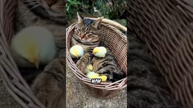 Хорошо если бы так везде