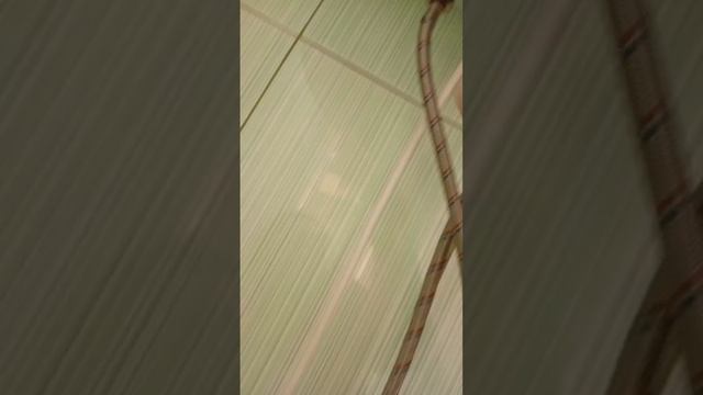 30 лет победы 39 водонагреватель