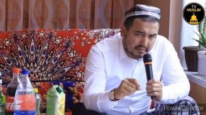 ШУКУРИЛЛО ДОМЛА МАРУЗАРАЛИ ТОПЛАНГАН | SHUKULLO DOLMA MARUZALARI TOPLAGANI