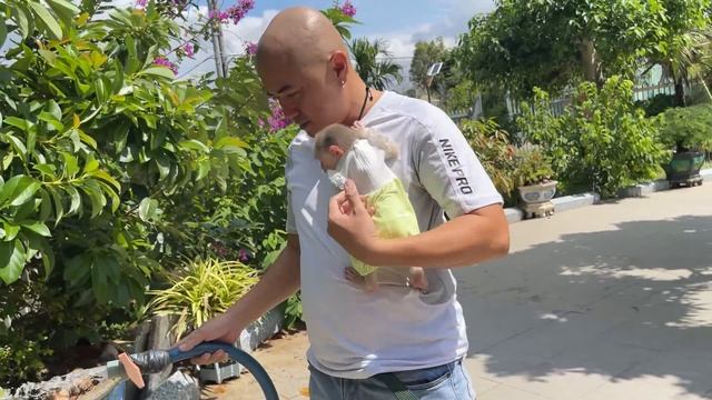 Dad smile happy when saw monkey luk taking care of itself 😍 смотреть онлайн