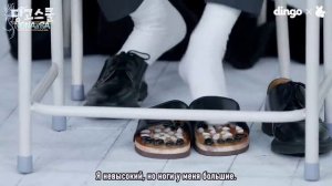 «Dingo School» с Monsta X (Часть 1)