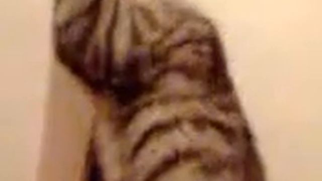 Кити кет смотреть онлайн