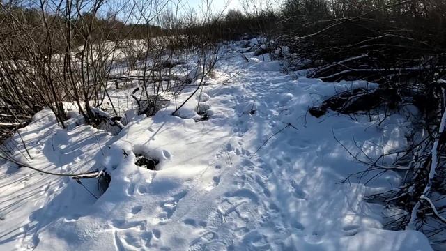 Охота на куницу. Кто ищет тот найдёт. смотреть онлайн