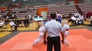 Киокушинкай каратэ