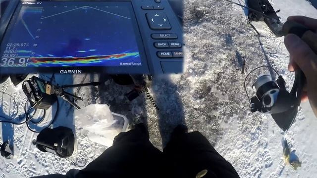 Winter Crappie Fishing 2019! Live minnows VS Marabou Crappe Jig смотреть онлайн