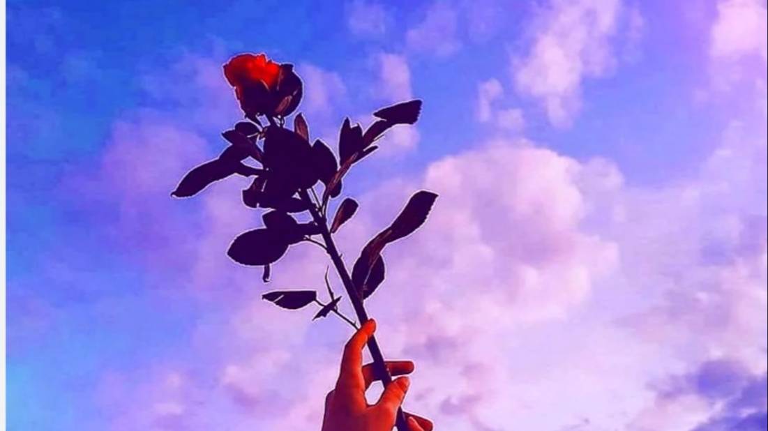 Awatar World😋🌻Rym Tyr🪴