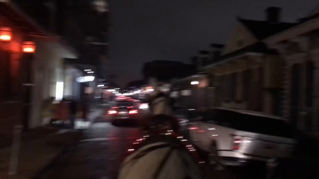 ALLIGATOR ATTACK | My Birthday in New Orleans | VLOGMAS 2018 смотреть онлайн