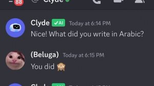 Beluga cat discord