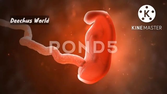 Most important Tip to Get Pregnant Fast in 24 hrs Malayalam смотреть онлайн