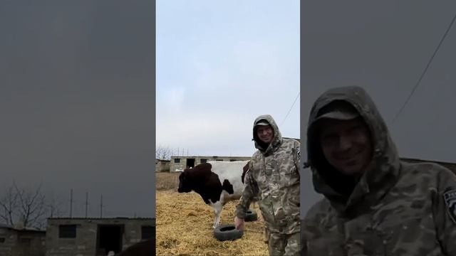 некогда не видел