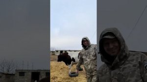 некогда не видел
