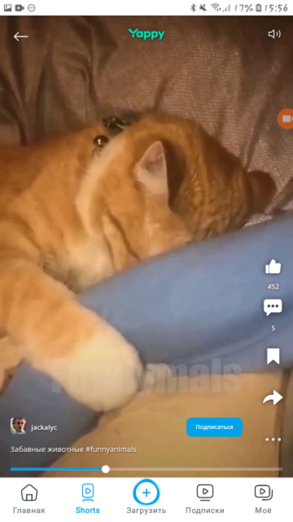 Стрим уроков😭( и рисования) смотреть онлайн