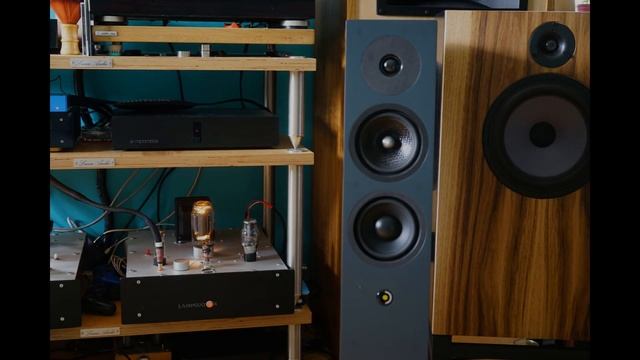 DAVIS ACOUSTICS KRYPTON 6 – Mega Uniwersalne