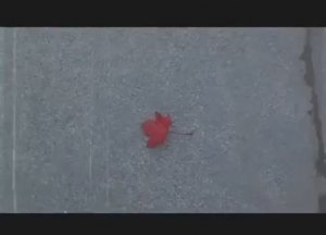 Светлана Сурганова - Уже не вернусь на землю...