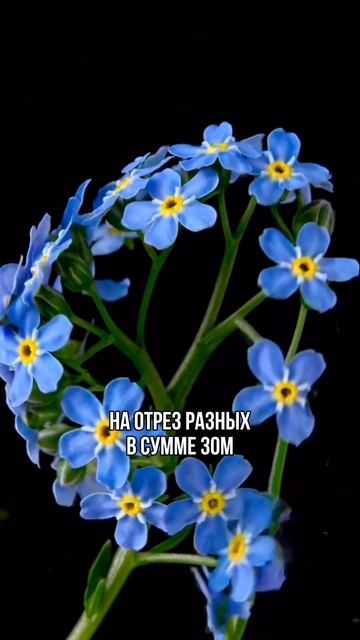 Шикарный трикотаж смотреть онлайн