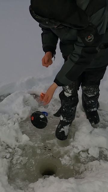Кумжа на жерлицу смотреть онлайн