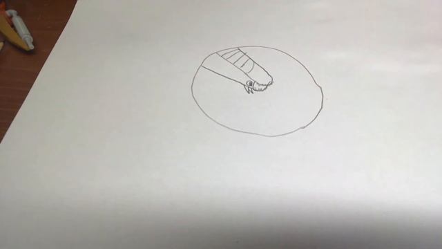 carnotaurus art смотреть онлайн