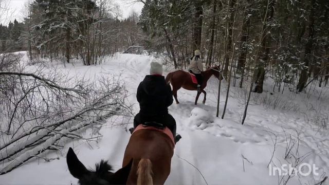 Замечательный день на ранчо 04.03.23 смотреть онлайн
