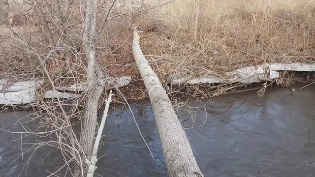 Бобриный мост. смотреть онлайн