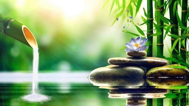 Zen Sounds and Classical Flute melody смотреть онлайн