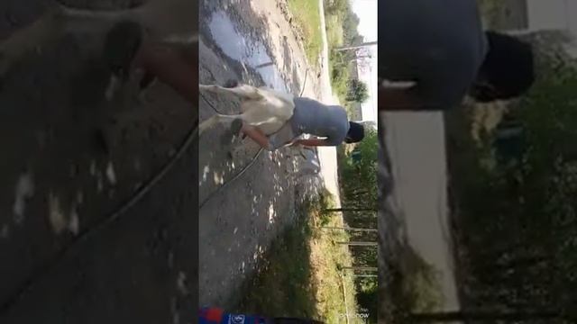 Катается на козле как на лощаде 😂😂 смотреть онлайн