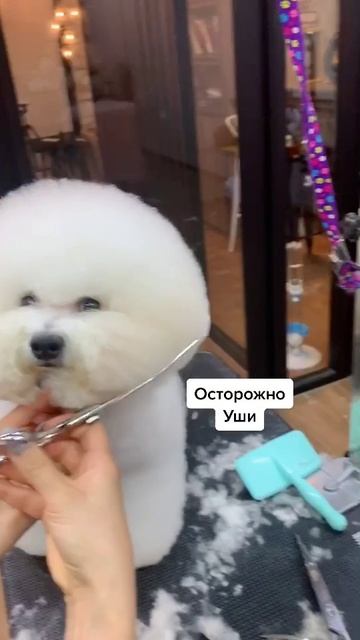 Плюшевый зефир смотреть онлайн