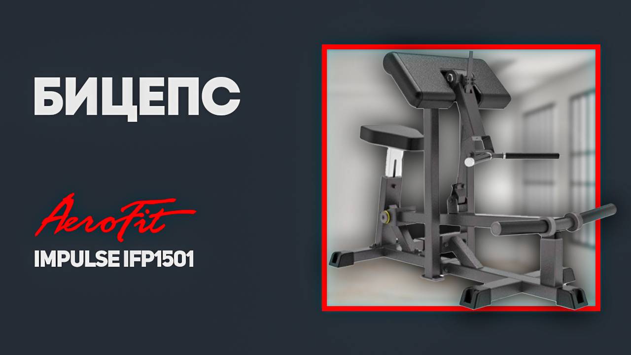 Бицепс, профессиональный тренажер Impulse IFP1501 смотреть онлайн
