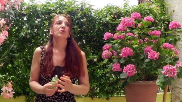 UN JARDIN SUR LE TOIT HERMES