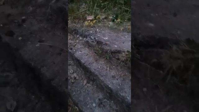 Усадьба "Утешение" в Торосово смотреть онлайн