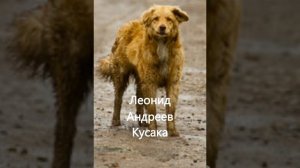 Леонид Андреев.  Кусака