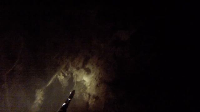 Подводная охота - карповый пруд смотреть онлайн