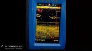 Эховизор Практик 8